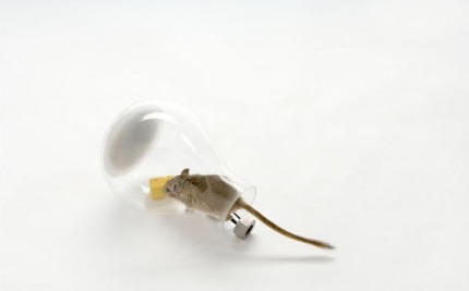 36_mouse-7_v2