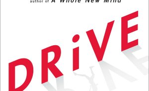 Drive cover